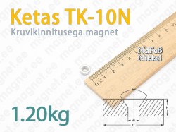Kruviauguga magnet Ketas TK-10N, Nikkel