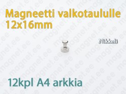 Magneetti valkotaululle D12x16mm, Metalli, Nikkeli