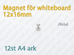 Magnet för Whiteboard D12x16mm, Metal, Nickelpläterad