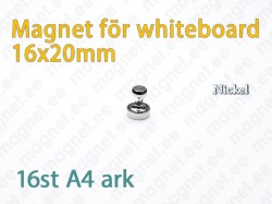 Magnet för Whiteboard D16x20mm, Metal, Nickelpläterad