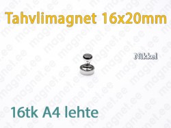 Tahvlimagnet D12x16mm, Metall, Nikkel