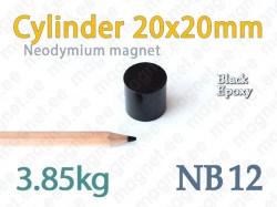 Neodymium magnet Cylinder 20x20mm NB12, Epoxy