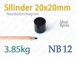 Neodüümmagnet Silinder 20x20mm, B12, Epoks